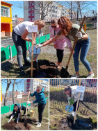 В рамках Всероссийской акции «Сад СВЯЗЬ ПОКОЛЕНИЙ», заботливыми руками наших сотрудников было высажено 12 плодово-ягодных деревьев.